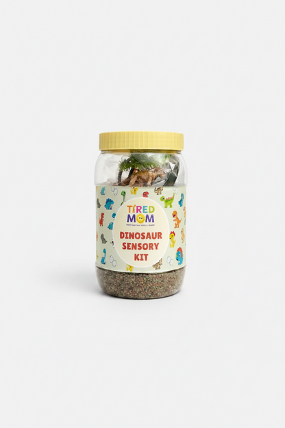Compact Dinosaur Sensory Kit
