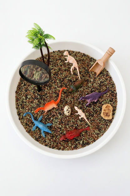 Compact Dinosaur Sensory Kit