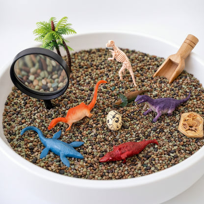 Compact Dinosaur Sensory Kit